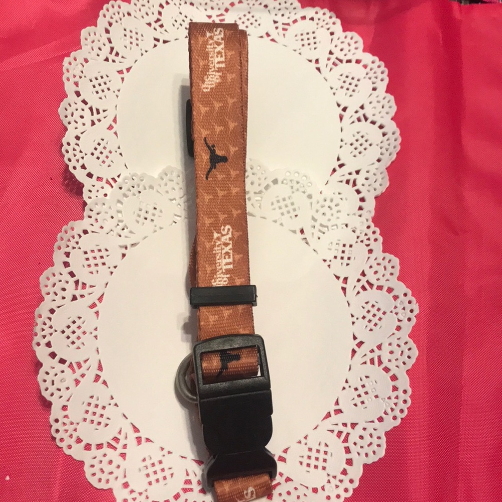 University of Texas Longhorn Dog Collar